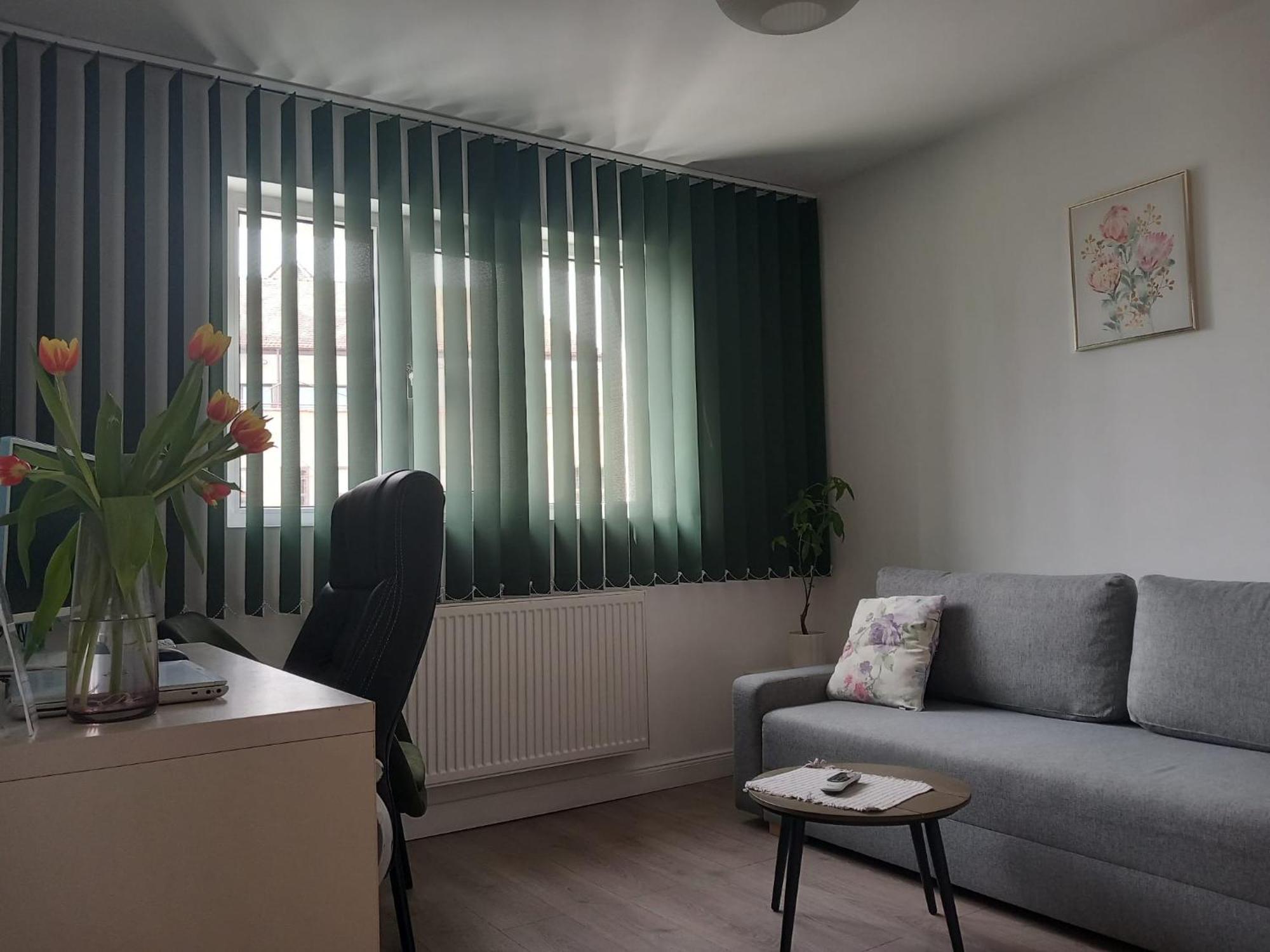 Bistriţa 4 Seasons Apartments מראה חיצוני תמונה